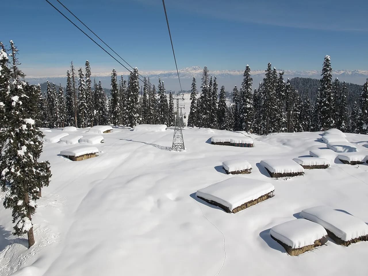 Góndola de Gulmarg sobre un bosque nevado