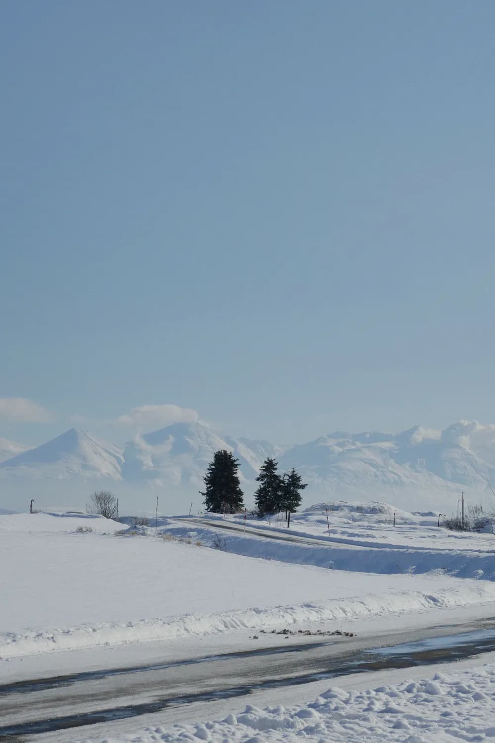 Rider hundido en nieve polvo en un bosque de Hokkaido
