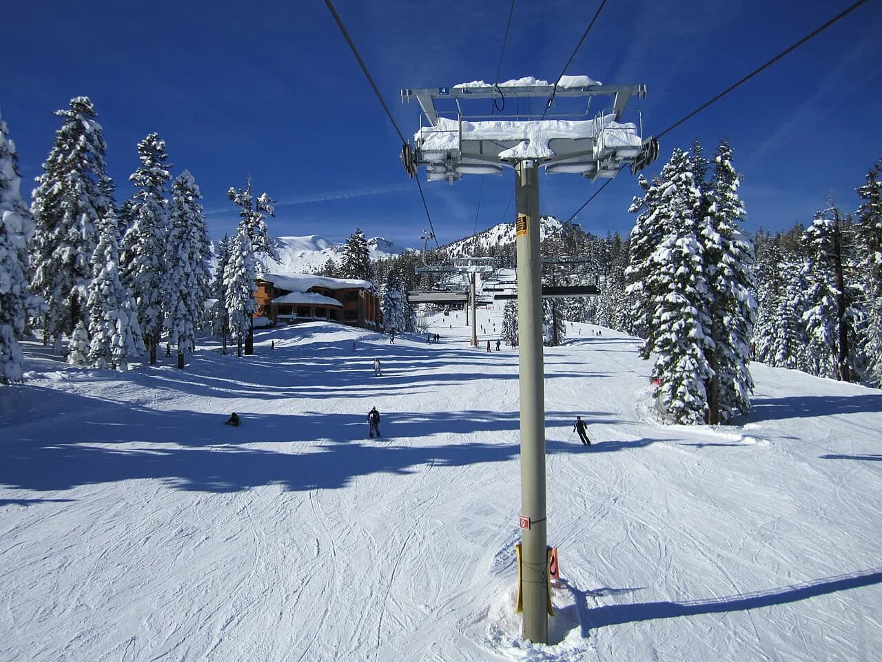 Telesilla Eagle Express entre pinos nevados en Mammoth