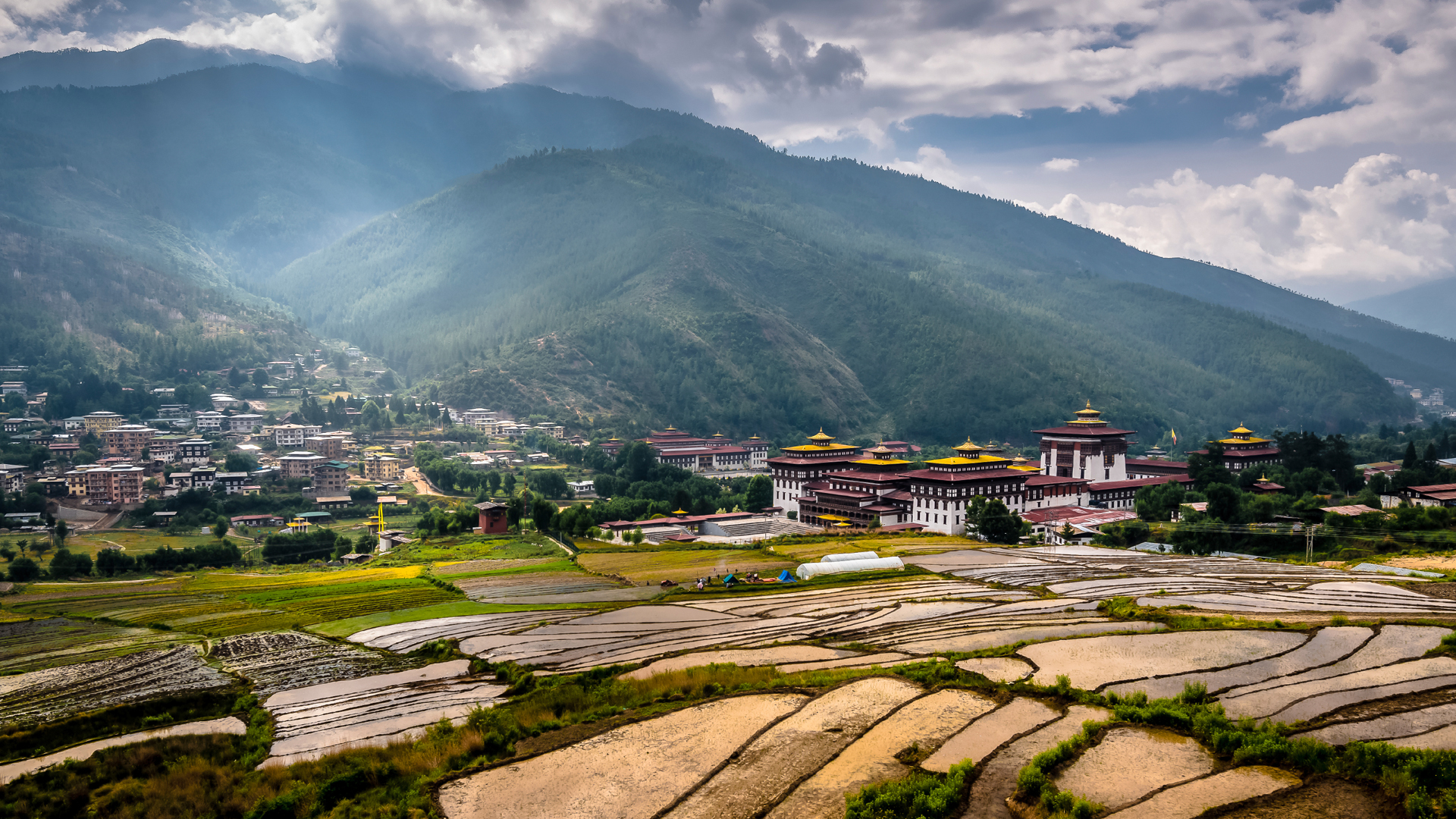 https://www.andbeyond.com/wp-content/uploads/sites/5/padd-field-thimpu-bhutan.jpg
