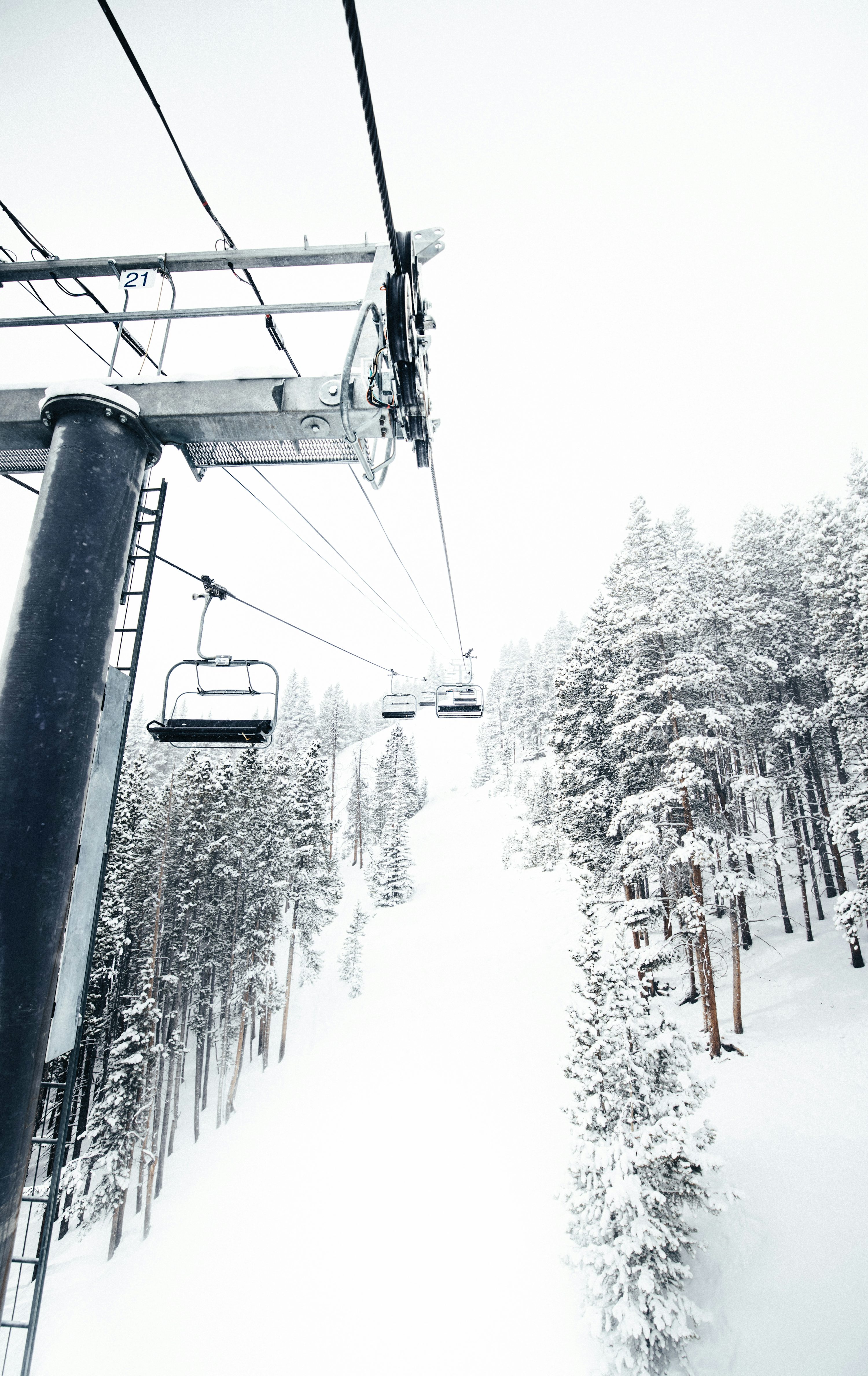 Telecabina y bosque