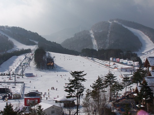 https://upload.wikimedia.org/wikipedia/commons/6/6f/Winter_2014_Candidate_City-_PyeongChang_Dragon_Valley_ski_resort.jpg